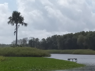 Similar image 22536319