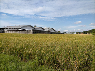 Similar image 22536364