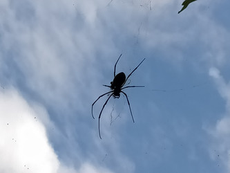 Similar image 22536380