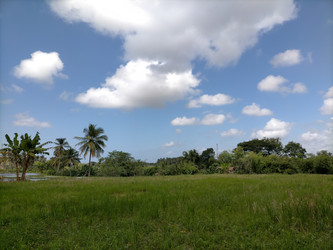 Similar image 22536425