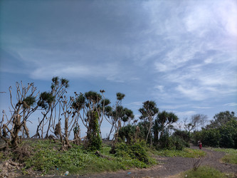 Similar image 22536441