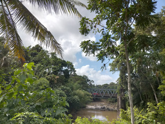 Similar image 22536454