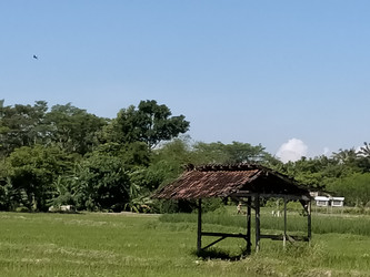 Similar image 22536455