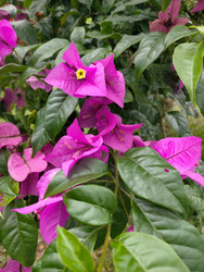 Similar image 22536486