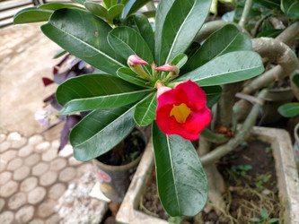 Similar image 22536500