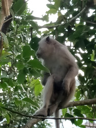 Similar image 22536514