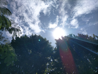 Similar image 22536515