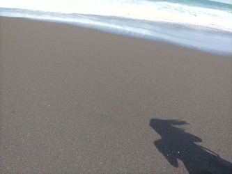 Similar image 22536531