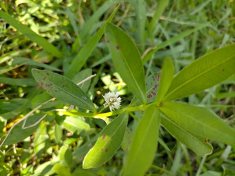 Similar image 22536546