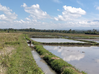 Similar image 22536547