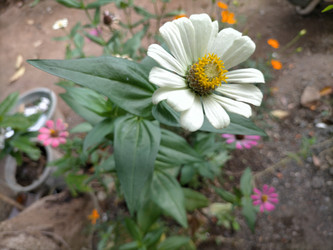 Similar image 22536590