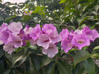 Similar image 22536607