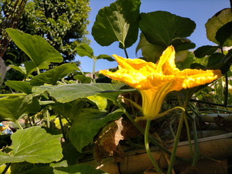 Similar image 22536636