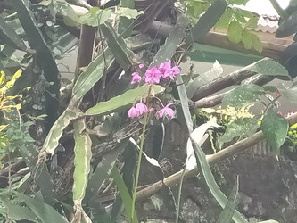 Similar image 22498617