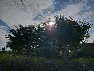 Similar image 22498635