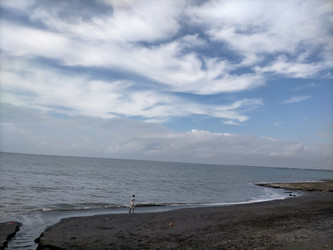 Similar image 22498649