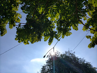 Similar image 22498665