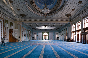 Similar image 22494123