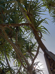 Similar image 22498695