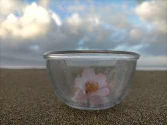 Similar image 22498709