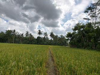 Similar image 22498725