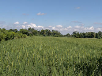 Similar image 22498739