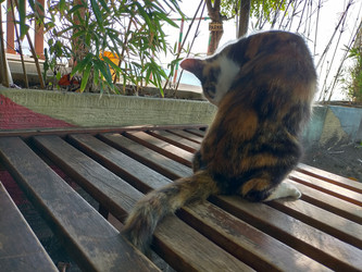 Similar image 22498740