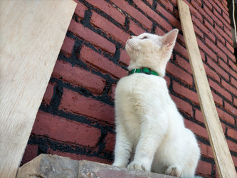 Similar image 22498770