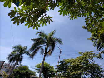 Similar image 22498785