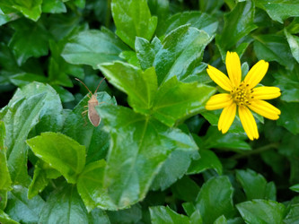 Similar image 22498815