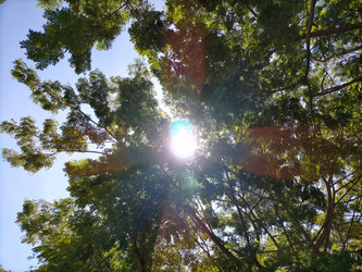 Similar image 22498830