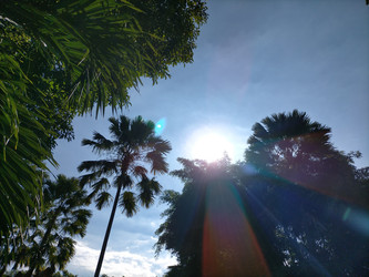 Similar image 22498860