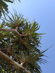 Similar image 22498875