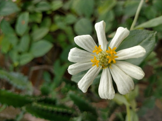 Similar image 22498905