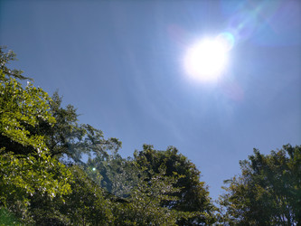 Similar image 22498964