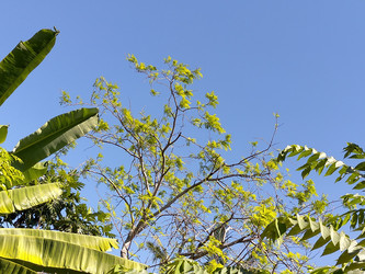 Similar image 22498965