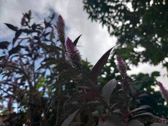 Similar image 22498979