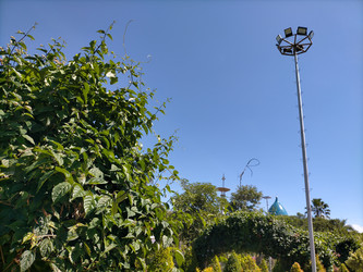 Similar image 22498995