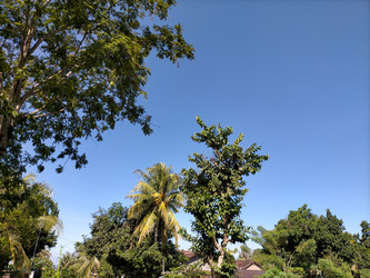 Similar image 22499040