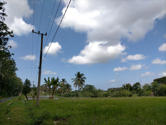 Similar image 22499083