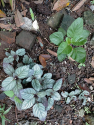 Similar image 22499096