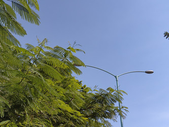 Similar image 22499097