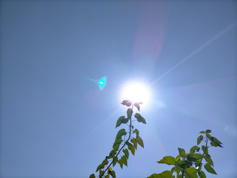 Similar image 22499367