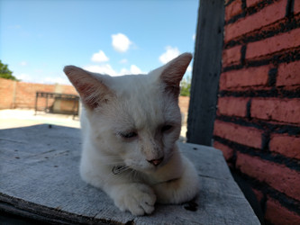 Similar image 22499396