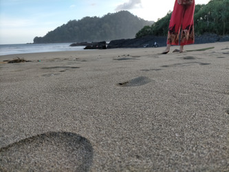 Similar image 22499411