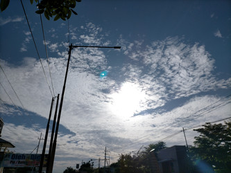 Similar image 22499440