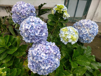 Similar image 22499441