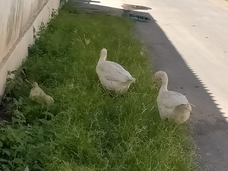 Similar image 22499456