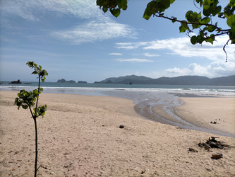 Similar image 22501325