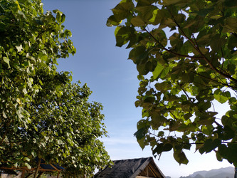 Similar image 22501341